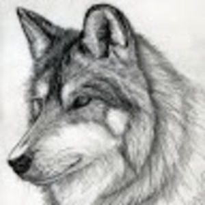 Meet your Posher, Daniela